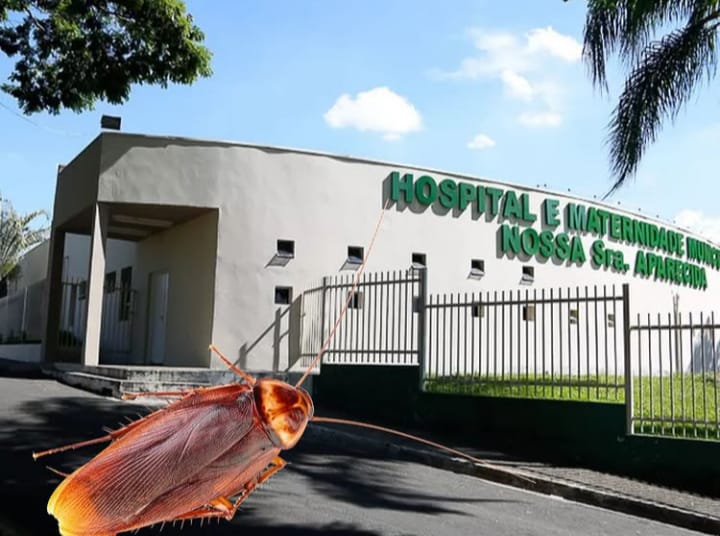 Baratas no Hospital foi devido à troca de tubulações, diz Prefeitura